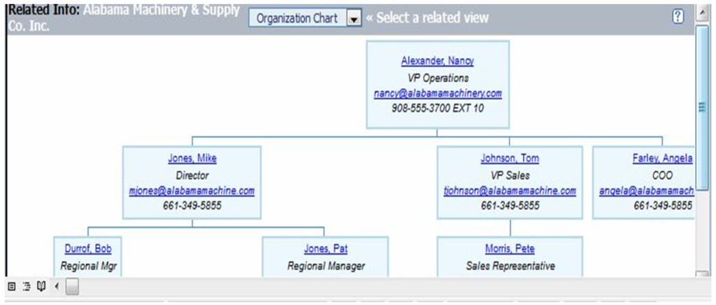 Salesforce Org Chart Builder