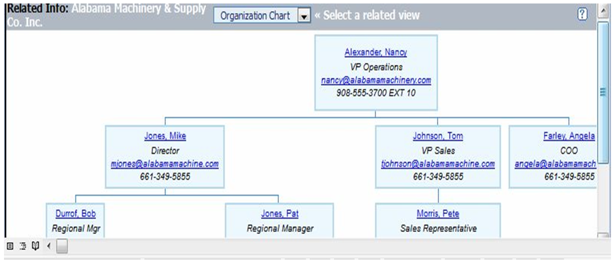 Sales Organization Structure Chart